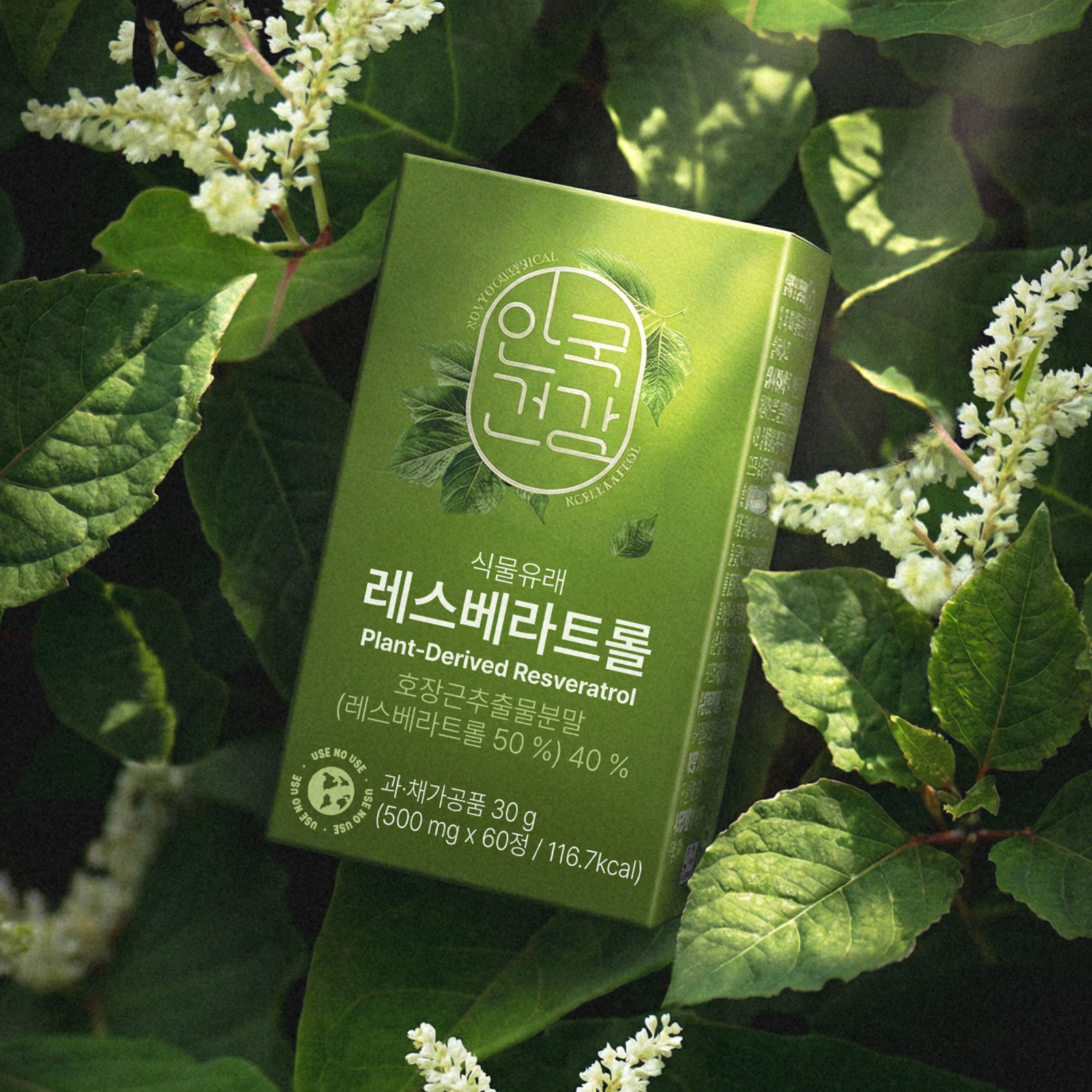 [1+1][유즈노유즈] 식물유래 레스베라트롤 *호장근추출물 항산화 고순도 60정 2박스 (4개월분)