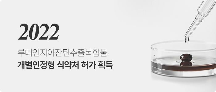 2022~2024 연혁 이미지